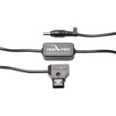 D-Tap to DC Barrel Power Cable for Canon C100 Cinema Camera (24", Regulated) C100 Cinema Camera Indipro 